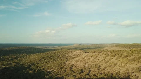 Forested valley in the evening Video stock 154866719
