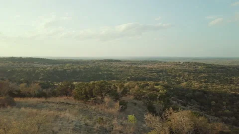 Forested valley in the evening Stock Footage 154867136