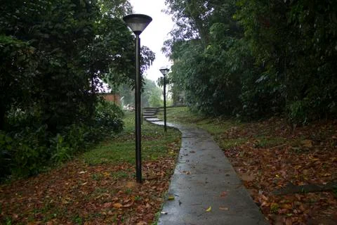 Forested walkway path Stock Photos