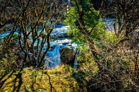 Forested Waterfall Overlook Foto stock