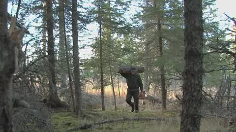 Forester Carrying a Log and a Chainsaw in the Woods 1 Stock Footage 8923920