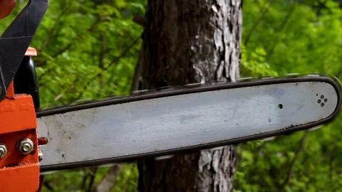 Forester cuts tree trunk with a chainsaw in a woods, forest cutting concept. Man 스톡 동영상 336569884