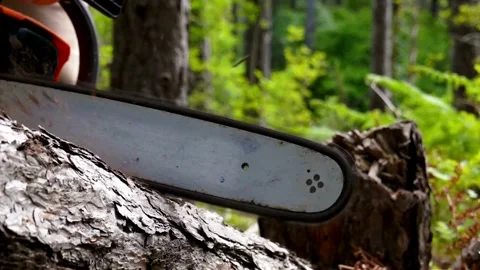 Forester cuts tree trunk with a chainsaw in a woods, forest cutting concept. Man Stock Footage 336570168