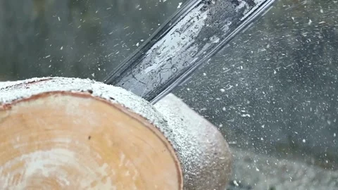 Forester cuts tree trunk with a chainsaw in a woods, forest cutting concept. Man Stock Footage 336570249