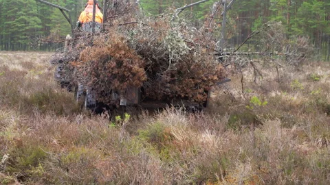 A forester drives through the bog with a specialized Marsh soil-saving quad bike Stock Footage 261365276