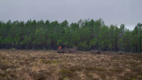 A forester drives through the bog with a specialized Marsh soil-saving quad bike Video stock 261365481