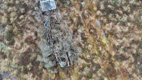 A forester drives through the bog with a specialized Marsh soil-saving quad bike Stock Footage 261365559