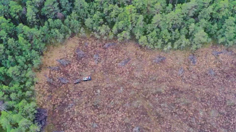 A forester drives through the bog with a specialized Marsh soil-saving quad bike Stock Footage 263153363