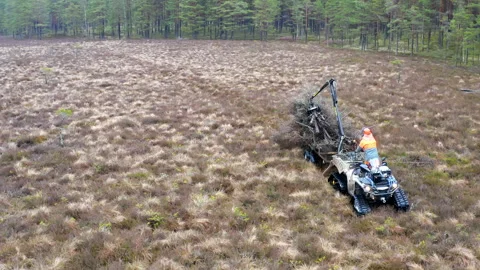 A forester drives through the bog with a specialized Marsh soil-saving quad bike Stock Footage 268432447