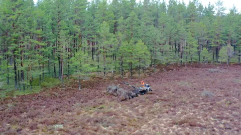 A forester drives through the bog with a specialized Marsh soil-saving quad bike Stock Footage 268433581