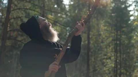 The Forester goes through the woods. Stock Footage 81792556