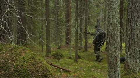 A forester with his dog is walking through a coniferous forest Stock-Footage 295056076