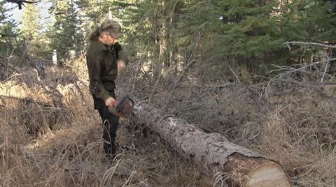 Forester Limbing Downed Tree with a Chainsaw Stock Footage 8924167