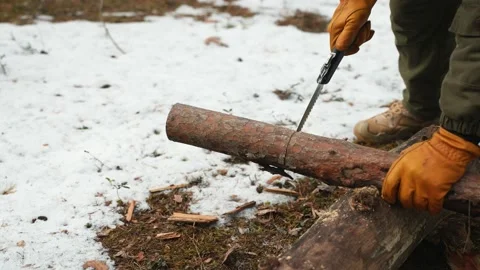 Forester in orange work gloves sawing tree trunk with garden saw. The concept of Stockbeeldmateriaal 238007180