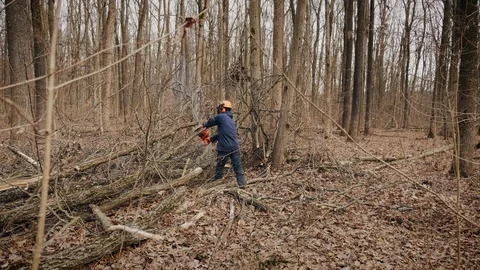 Forester using a chainsaw makes clearing the forest Stock Footage 120471795