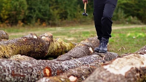Forester Walking on Huge Tree Logs Wearing Safety Boots Slow Motion Logging  Vídeo Stock 128491785