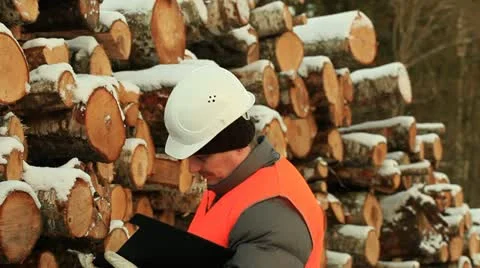 Forester written notes and talking on a mobile phone Stock Footage