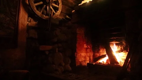 Forester's house Stock Footage 113820607