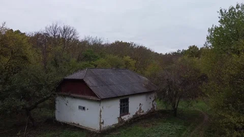 Forester's hut Video stock 143532465