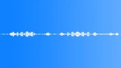 FOREST,EUROPE Sound Effect