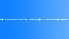 FOREST,EUROPE Sound Effect