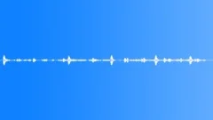 FOREST,EUROPE Sound Effect