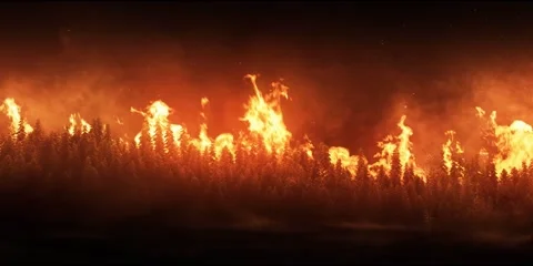 ForestFire Static 24fps Stock Footage 140934682