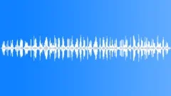 FOREST,FRANCESound Effect