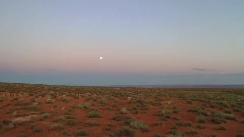 ForestGump Point Stock Footage 147975164