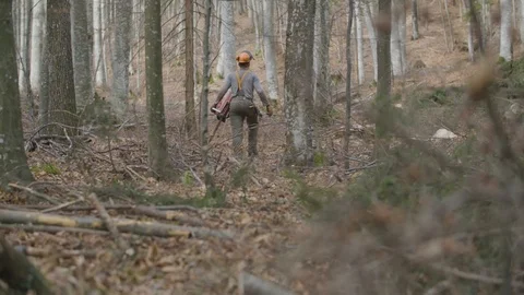 A forestman is walking with a chainsaw Stockbeeldmateriaal 92889197