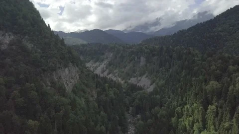 Forest.Mountains.Karelia Stock Footage 148655738