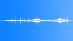 FOREST,MOVEMENT Sound Effect
