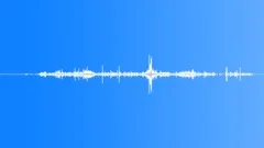 FOREST,MOVEMENT Sound Effect