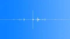 FOREST,MOVEMENT Sound Effect