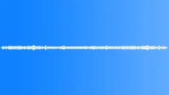 FOREST,NIGHT Sound Effect