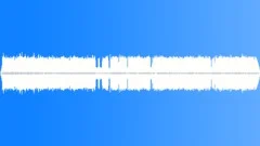 FOREST,NIGHT Sound Effect