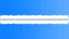 FOREST,RAIN Sound Effect
