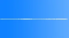 FOREST,RAINSound Effect