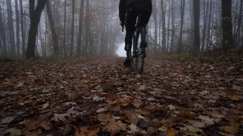 Forestride Stock Footage 98283680