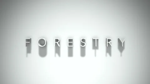 Forestry 3D title animation with shadows on a white background Stock Footage 296517533