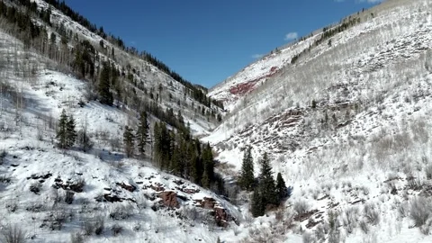 Forestry after a snowfall | Vail Colorado Winter Drone 库存影片 331533634