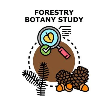 Forestry and botany study researching forest plants Stock Illustration