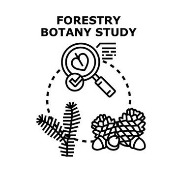 Forestry and botany study researching forest plants Stock Illustration