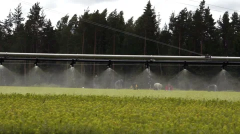 Forestry automatic irrigation equipment Stock Footage 46178294