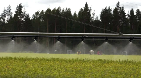 Forestry automatic irrigation equipment slow Video stock 46178295