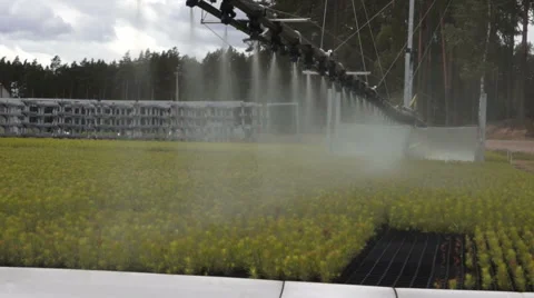Forestry automatic watering equipment Stock Footage 46178293
