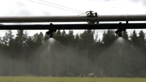 Forestry automatic watering equipment slow Stock Footage 46178286