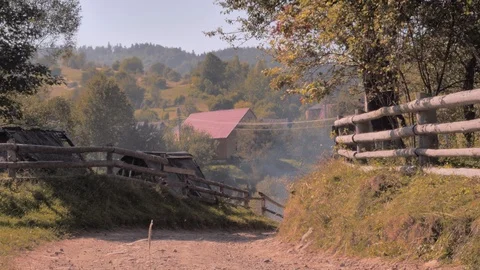 Forestry background. Lots of felled trees on the truck. Log and farm in Stock Footage 108130082
