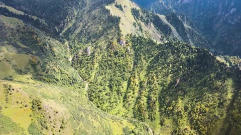 Forestry Development Across China Plateau Forest 4K Aerial Stock Footage 320925027