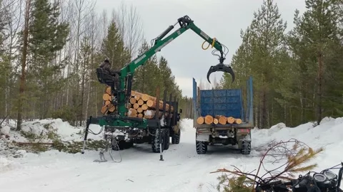 Forestry equipment. Forwarder loads timber into a timber truck. 動画素材 181341158